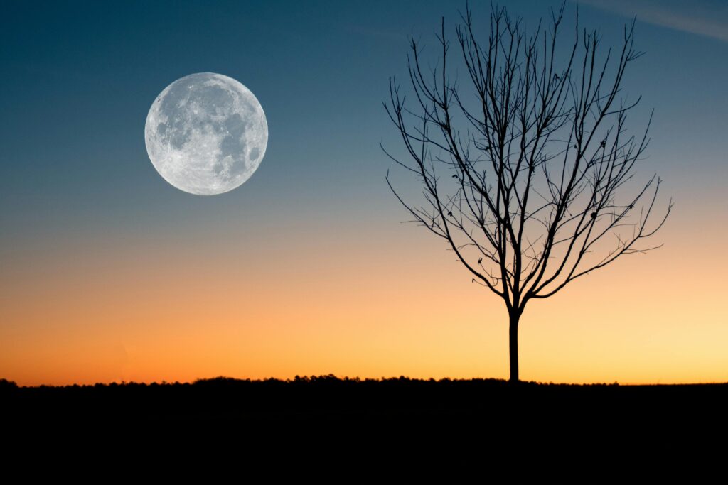 Full Moon December 4, 2025